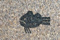 Grumpy fish pebbles mosaic on the floor on Rhodes island