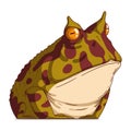 A Grumpy Frog, isolated vector illustration. Cartoon picture of a calm serious toad sitting. Drawn animal sticker.