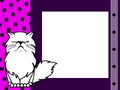 Grumpy persian cat cartoon picture frame illustration