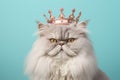 Grumpy Persian cat with crown on pastel blue background