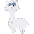 Grumpy Persian Cat Llama Royalty Free Stock Photo
