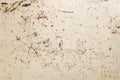 Grunge abstract background - White rusty Corroded and scratched metal sheet decay texture background. Royalty Free Stock Photo