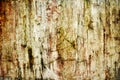 Grunge abstract crack wall texture and background, Old wall cement grunge backgrounds