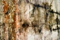 Grunge abstract cracks wall texture and background, Old crack wall cement grunge backgrounds Royalty Free Stock Photo