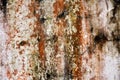 Grunge abstract wall paint texture and background, Old wall cement grunge backgrounds Royalty Free Stock Photo