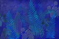 Hand drawn fern and plant art dyed grunge background with Japanese style ink look on antiqued edge background in indigo blue