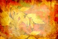 Grunge autumn leaves