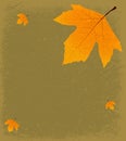 Grunge Autumnal Background Royalty Free Stock Photo