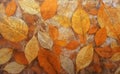 Vintage canvas background with autumn leaves.