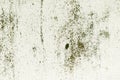 Grunge background brown texture wall rustic rust old organic mildew Royalty Free Stock Photo