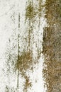 Grunge background brown texture wall rustic rust old organic mildew Royalty Free Stock Photo