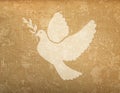 Grunge background with dove shape