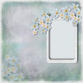 Grunge background with frame and spring flowers