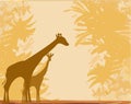 Grunge background with giraffe silhouette Royalty Free Stock Photo