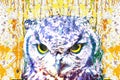 Owl head with creative abstract elements on white background Royalty Free Stock Photo