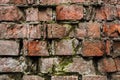 Grunge background Old brick wall weathered and falling apart. The cement interlayers between the bricks were covered Royalty Free Stock Photo