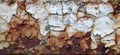 Old peeling paint on rusting metal Royalty Free Stock Photo