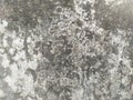 Background wall texture abstract grunge ruined scratched.Concrete Cement wall texture dirty rough grunge background. Royalty Free Stock Photo