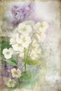 Grunge background with white flowers. Soft tones. Generative AI