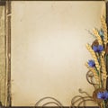 Grunge background with wildflowers and spikelets