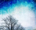 Grunge bare tree on textured blue background