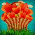 Grunge basket of tulips Royalty Free Stock Photo