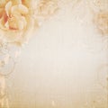 Grunge beige wedding background with roses
