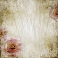 Grunge beige  wedding background with roses Royalty Free Stock Photo