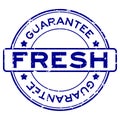 Grunge blue fresh guarantee word round rubber stamp on white background