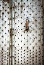 Grunge bossed door Royalty Free Stock Photo