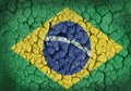 Grunge of Brazil Flag Royalty Free Stock Photo