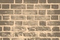 Grunge brick wall Royalty Free Stock Photo