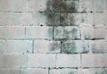 Grunge brick wall texture background