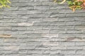 Grunge brick wall texture background Royalty Free Stock Photo