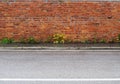 Grunge brick wall and a worn sidewalk with weeds. Asphalt road in front.  Background for copy space Royalty Free Stock Photo