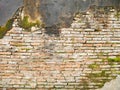 Grunge brickwork wall texture with moss render Royalty Free Stock Photo