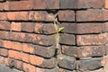 Old weathered Broken Brick wall fragment