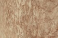 Grunge  brown loft concrete  texture  selective  focus design   background Royalty Free Stock Photo