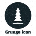 Grunge Canadian spruce icon isolated on white background. Forest spruce. Monochrome vintage drawing. Vector