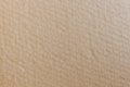 Grunge Cardboard Texture Royalty Free Stock Photo