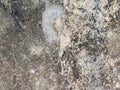 Grunge cement wall texture background. Abstract grunge cement texture background