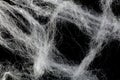 Grunge cobweb overlay Royalty Free Stock Photo