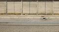 Grunge concrete board wall with cement sidewalk and urban road in front. Royalty Free Stock Photo