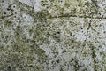 Grunge concrete cement wall with crack, for design and texture background Royalty Free Stock Photo