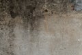 Grunge concrete wall texture moss stucco Royalty Free Stock Photo