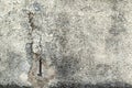 grunge concrete wall texture moss stucco Royalty Free Stock Photo