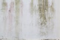 grunge concrete wall texture moss stucco Royalty Free Stock Photo