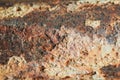 Grunge corrode rust iron oxidized metal textured background
