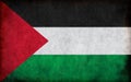 Grunge country flag illustration Palestine