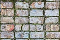 Grunge cracked orange brick floor with moss pine needles stones sand textured background. Royalty Free Stock Photo